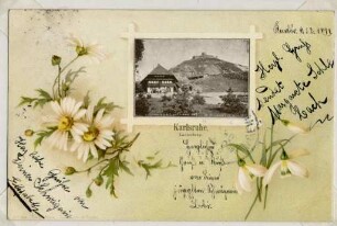 Postkartensammlung Weis mit Ansichten Karlsruhes. Stadtgarten