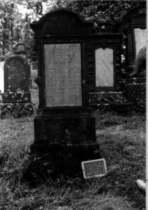 Grabstein 309 [Nir S. 184 Nr. 17.02]
