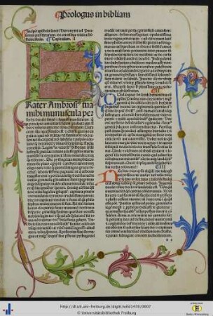 Epistola sancti Hieronymi ad Paulinum presbyterum de omnibus divine historie libris