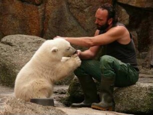 Berliner Zoo, der kleine Eisebär Knut und Pfleger Thomas Dörflein, 22. Juni 2007