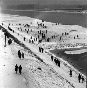 Vereisung und Zufrieren des Rheins.