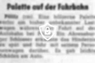 Palette auf der Fahrbahn