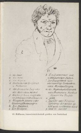 65. Hoffmann ...