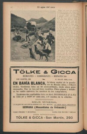 El agua del coco