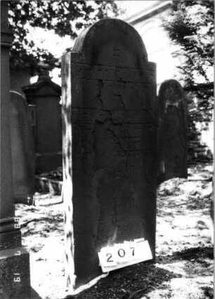 Grabstein 207 (Index: 100094395) Material: Sandstein Zustand: abgeblättert m. großem Textverlust Maße HxBxT: 156x59x13 cm Beschreibung: Stele, eingezogener Rundbogenabschluß: Grabstein 207