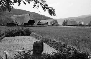 Gutach: Vogtsbauernhof; Gesamtansicht vom Hippenseppenhof aus