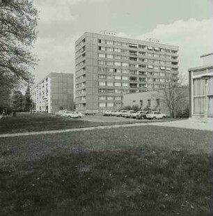 Stübelallee
