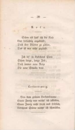 Lorbeerzweig