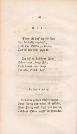 Lorbeerzweig