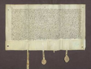Erbhuldigungsrevers der Stadt Stollhofen als Leibeigene gegen Markgraf Jakob I. von Baden