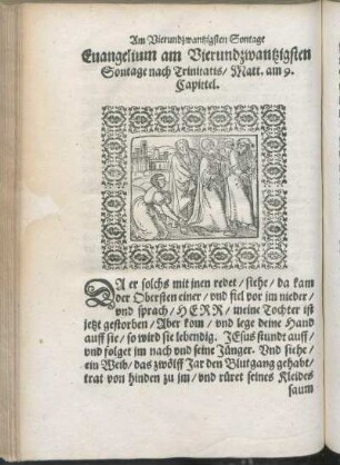 Euangelium am Vierundzwantzigsten Sontage nach Trinitatis/ Matt. am 9. Capittel.