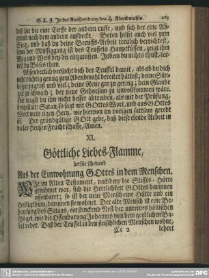 XI. Göttliche Liebes-Flamme, herfür scheinend Aus der Einwohnung Gottes in dem Menschen