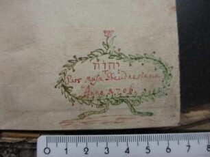 Steudner, Johann Gottfried / Autogramm
