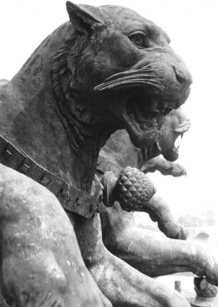 Dresden. Sächsische Staatsoper / Semperoper (1871-1878). Panther-Quadriga von Johannes Schilling. Panther
