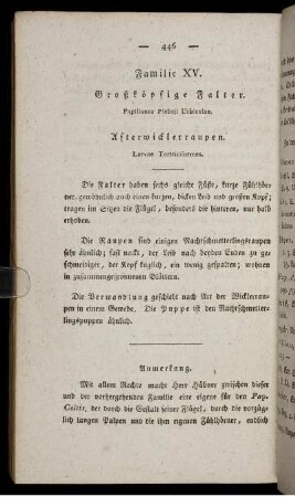 Familie XV. Großköpfige Falter.