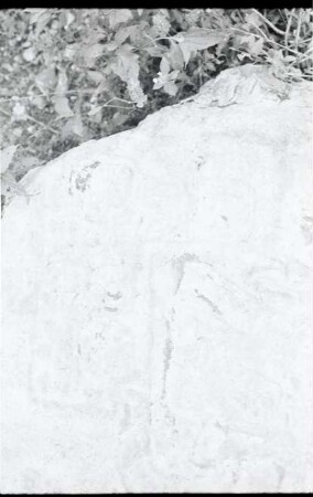 La Florida, Stela 7 (FLD: St. 7)