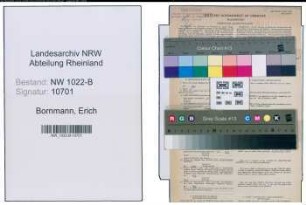 Entnazifizierung Erich Bornmann , geb. 16.02.1903 (Versicherungsangestellter)