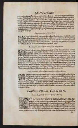 Von Gelben Violen. Cap. XCIX.
