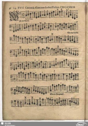XVII. Wie ein Rubin in seinem Golde leuchtet