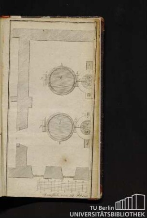 Tab. IX. Fig. 78.