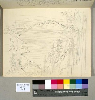Ideale Bodenseelandschaft mit Säntis-Massiv