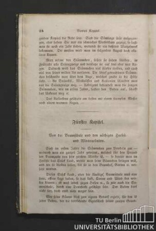 Fünftes Kapitel. Von der Baumschule und den nöthigen Herbst- und Winterarbeiten.