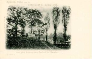 Historische Bilder von der Völkerschlacht bei Leipzig 1813: Das Fürst Schwarzenberg-Denkmal bei Meusdorf [Historische Bilder von der Völkerschlacht bei Leipzig 1813 : Serie II]