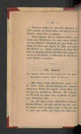 VII Kapitel.