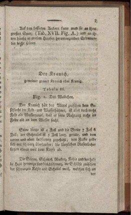 Der Kranich, gemeiner grauer Kranich oder Kranig