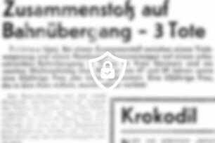 Zusammenstoß auf Bahnübergang - 3 Tote