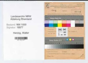 Entnazifizierung Walter Herzog, geb. 03.02.1910 (Ingenieur)