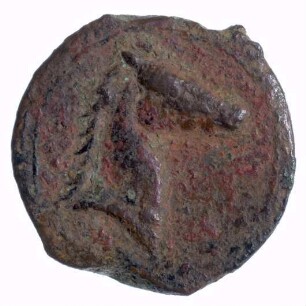 Münze, ca. 350 - 1. Hälfte 3. Jahrhundert v. Chr.