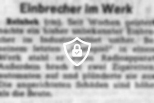 Einbrecher im Werk