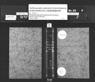 Musiktheater (Oper, Ballett, Konzerte) 1980/81