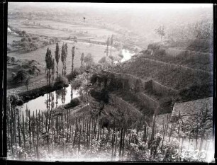 Enztal 1934