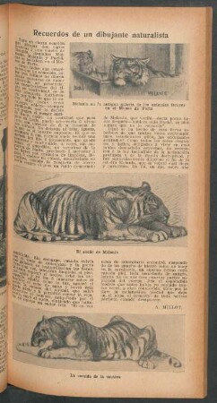 Recuerdos de un dibujante naturalista