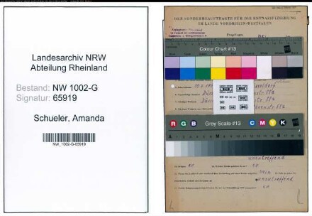 Entnazifizierung Amanda Schueler, geb. 10.04.1900 (Kauffrau)