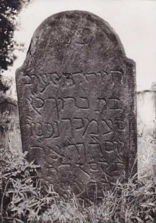 Judenfriedhof. Grabstein