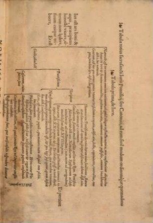 Tabulae totius sacrosancti iuris canonici