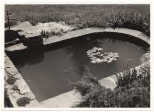 Garten Reinicke, Berlin-Zehlendorf: Wasserbecken mit Seerosen