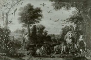 Die Erschaffung der Tiere