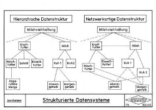 Strukturierte Datensysteme