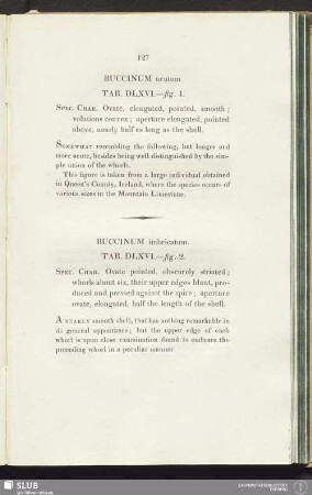 Buccinum imbricatum. Tab. DLXVI.—fig. 2