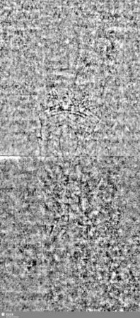 Lilienschild + IESV / LW = S.17/18+21/22