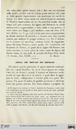 5: Ambra che trovasi nei sepolcri