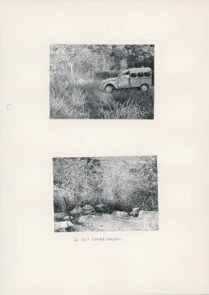 Rundreise, ohne Ortsangabe, 1963