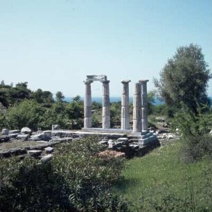 Samothrake. Hieron. Heiligtum. Das Hieron; Einblick von Südosten