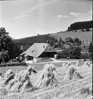 Bauernhaus im Schwarzwald