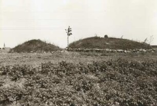 Bonzezeitliche Hügelgräber : Gäernitz, nach Ausgrabung wiederhergestellte bronzezeitliche Hügelgräber der Lausitzer Kultur