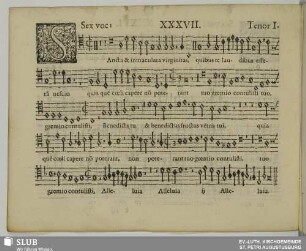 XXXVII. Sancta et immaculata